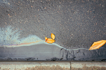 Beautiful iridescent oil stain on wet asphalt near sidewalk, yellow dead autumn leaf