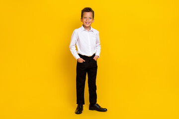 Full size photo of cheerful satisfied boy put hands pockets toothy smile isolated on yellow color background