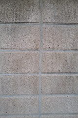 Fototapeta premium texture
