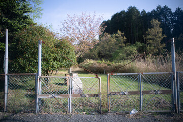 草原