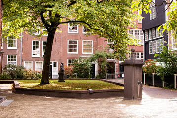 jardín con árbol en Begijnhof, amsterdam, países bajos