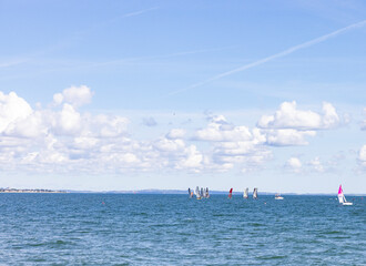 Regatta - Sailing boats on the Aarhus sea area,Denmark,Europe