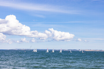Regatta - Sailing boats on the Aarhus sea area,Denmark,Europe