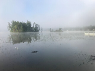 fog on the river