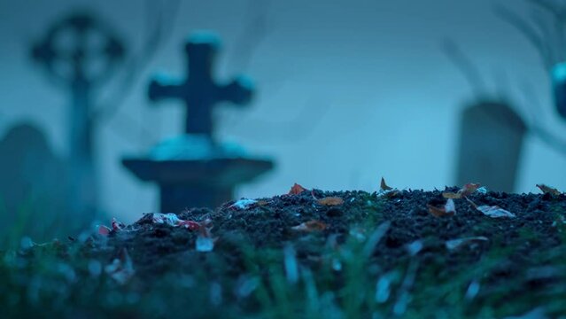 Cemetery. Halloween concept. Copy space for your text