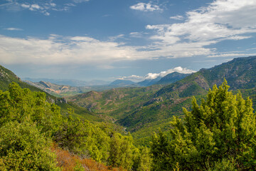 Naklejka premium Landscape