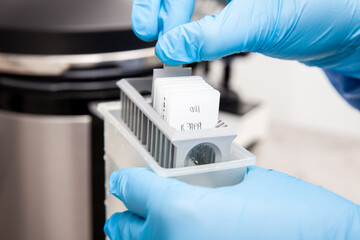 Scientist preparing slides with paraffin embedded tissue samples for immunohistochemistry assay in the laboratory. - obrazy, fototapety, plakaty