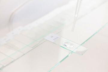 Scientist preparing slides with paraffin embedded tissue samples for immunohistochemistry assay in...