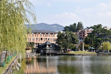 Fototapeta na wymiar 奈良公園猿沢の池