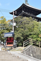 奈良公園五重塔と人力車
