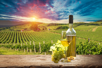 White wine with barrel on famous vineyard in Chianti, Tuscany, Italy. High quality photo