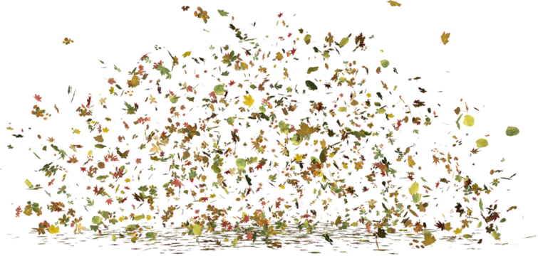 autumn leaves falling 2