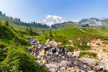 Scenic creek in the beautiful valley. Amazing view at the snowy peaks which rose against the blue sky.  Sunrise Area, Mount Rainier