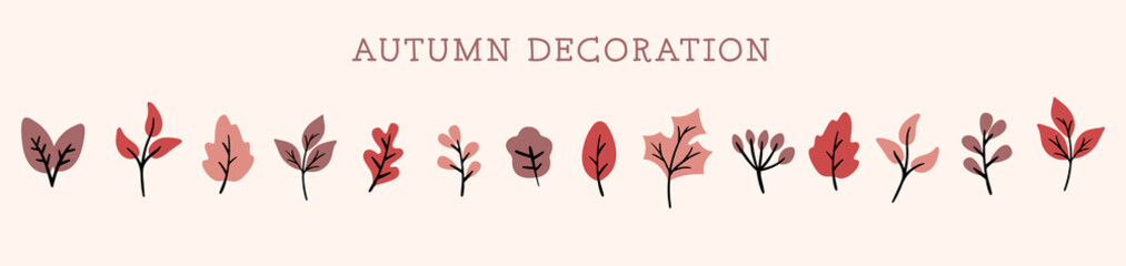 autumn collection of leaves and plants vector illustration