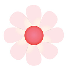 Pink daisy flower. vector illustration