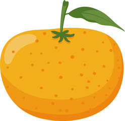 fruit citrus orange