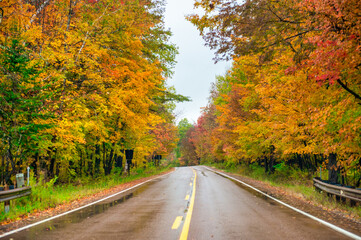 Road of New England in foliage season, USA