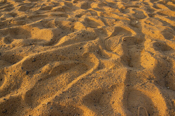 foodprints in the sand