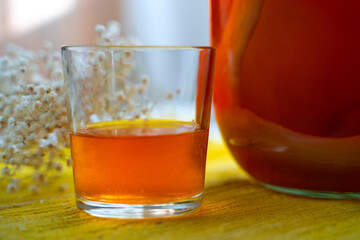  a jar of kombucha tea on the table with glass of cold tea on a background of dry flowers Homemade fermented raw tea Healthy natural probiotic drink
