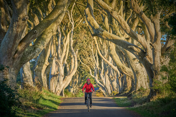 nice senior woman cycling in the famous beech avenue of Dark Hedges near Bushmills in Northern...