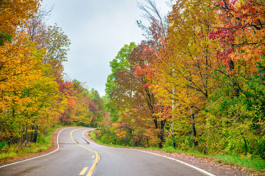 Road of New England in foliage season, USA