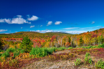 Fall Foliage across the rolling hills of Vermont. Peak fall color on a beautiful sunny day in New England