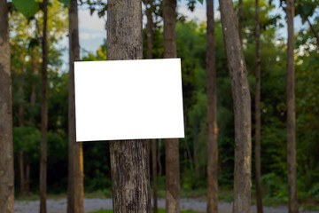 white notice board, public relations sign, campaign sign stuck on a tree in the forest park. Soft and selective focus.