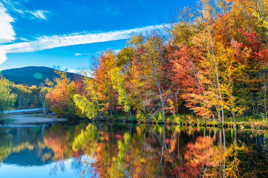 Foliage landscape and colors. Lake and trees in autumn season, water reflections, relax concept