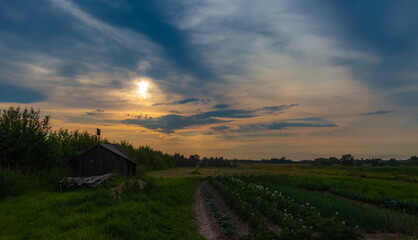 Landscape with sunset in the village in summer