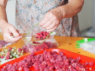 An elderly woman is hands place fresh raspberries in plastic bags prepared for storage.