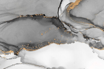 Marble ink abstract art from meticulous original painting abstract background . Painting was painted on high quality paper texture to create smooth marble background pattern of ombre alcohol ink . © InfiniteFlow