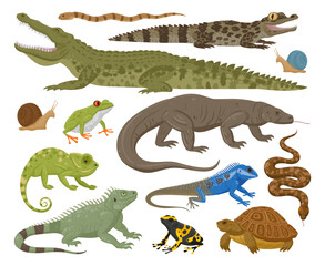 Cartoon reptile and amphibian, lizard, snake, chameleon. Wild animals, turtle, frog and crocodile flat vector illustration set. Amphibian and reptile collection