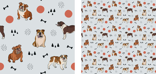 Seamless dog pattern, cute. Square format texture, t-shirt, poster, packaging, textile, socks, textile, fabric, decoration, wrapping paper. Trendy hand-drawn English bulldog dogs. Gift box pattern.