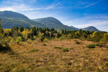 Hochmoor Landschaft Naturreservat Kendlmühlfilzen bei Grassau in Bayern, Deutschland mit den Alpen im Hintergrund