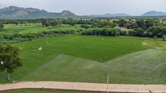 Beautiful drone pics of an Indian village - aerial photography - Podaralla Palli, Anantapur, AP. - agriculture drone pics 