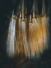 sparks from the fire