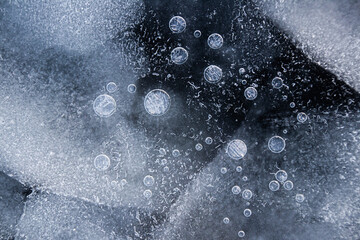 frozen bulbs, patterns on ice