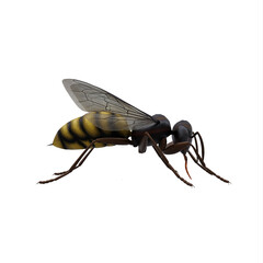 Honey Bee isolated