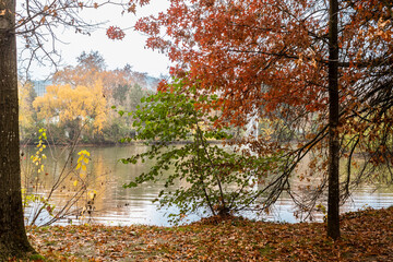 Autumn colors in Toulouse, France. Known as La Ville Rose