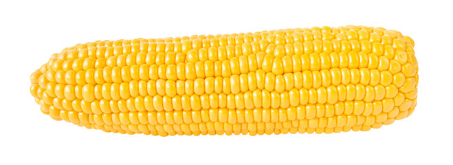 Corn cob isolated on transparent backgound.