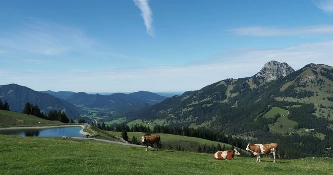 Bayerische Berglandschaft - Sudelfeld im Mangfallgebirge zwischen Bayrischzell-Leitzachtal und Oberaudorf-Inntal