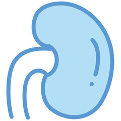 kidney, medical, organ, renal, internal organ, icon