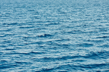 Obraz premium calm blue sea background texture