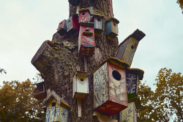 A few birdhouses on the tree                           
