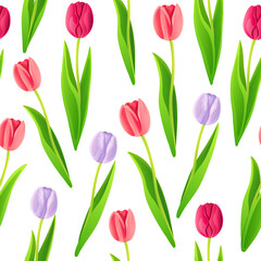 Seamless pattern with pink, fuchsia and lilac tulips isolated on white background. Vector illustration