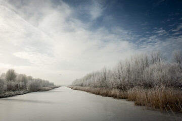 Winter landscape in Zoetermeer, Netherlands (balijbos)