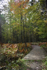 Obraz premium La Plaine 1 Octobre 2022