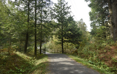 Obraz premium La Plaine 1 Octobre 2022