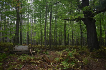 La Plaine 1 Octobre 2022