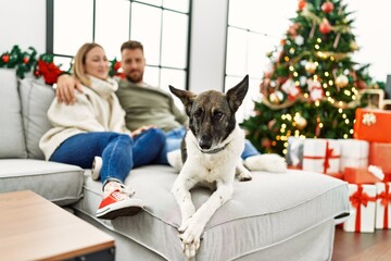 Young caucasian couple smiling happy and hugging sitting on the sofa with dog by christmas tree at home.